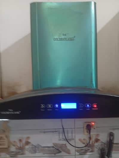 electric hood 24"