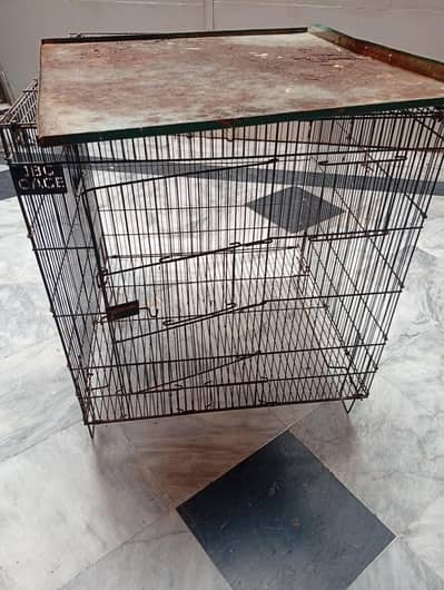 BIRDS CAGE
