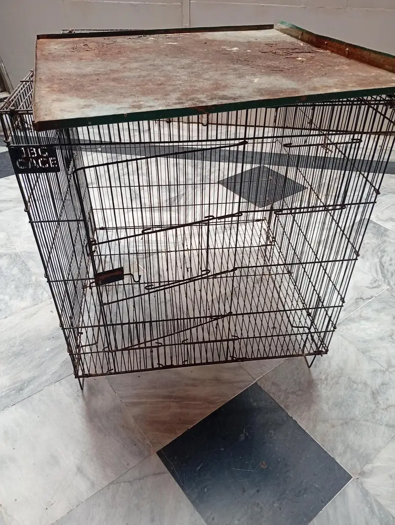 BIRDS CAGE