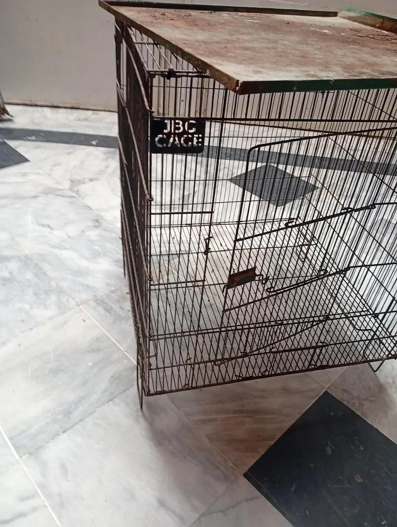 BIRDS CAGE — photo 2
