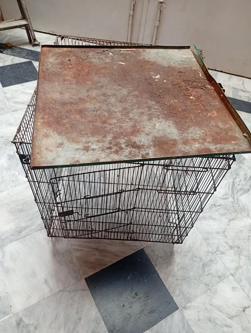 BIRDS CAGE — photo 3