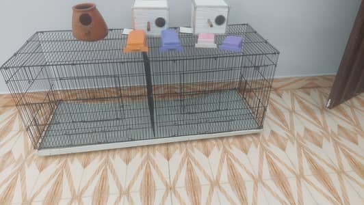 Cage for sale with breeding boxes and feed boxes