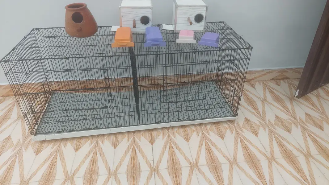 Cage for sale with breeding boxes and feed boxes