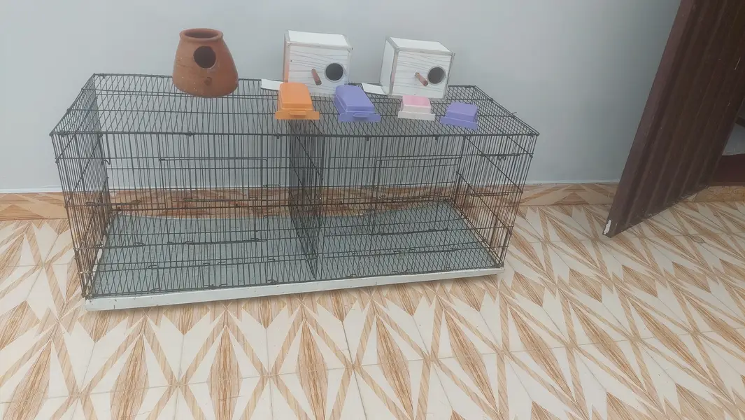 Cage for sale with breeding boxes and feed boxes — photo 2