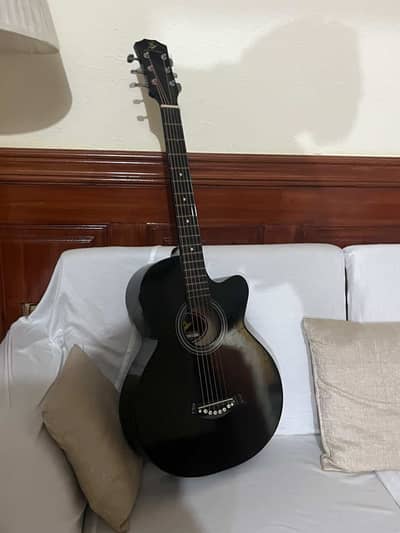 Swiss horse guitar with thruss road and accessories