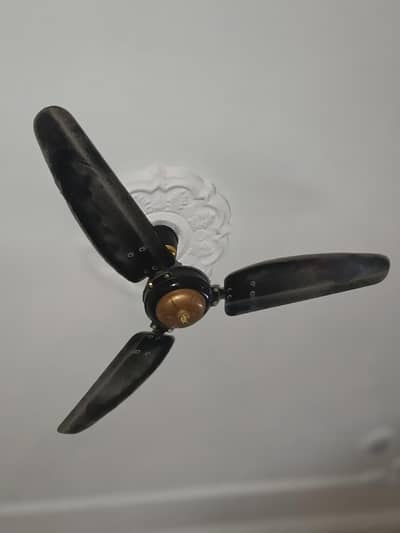 4 Royal Ceiling Fans for sale