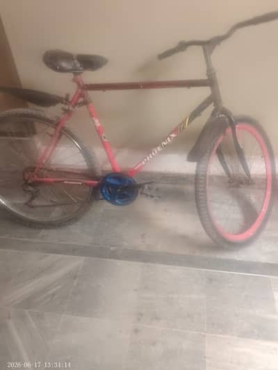 Red cycle