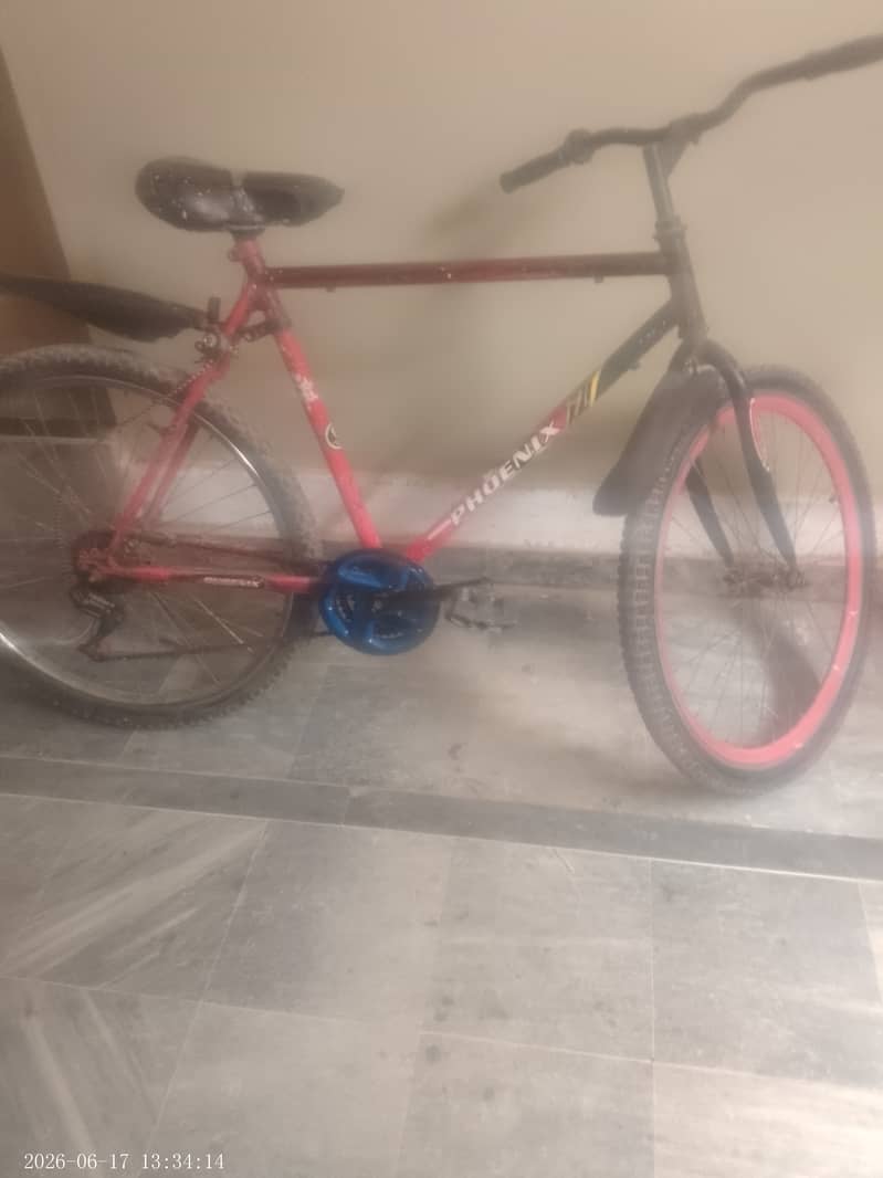 Red cycle 0