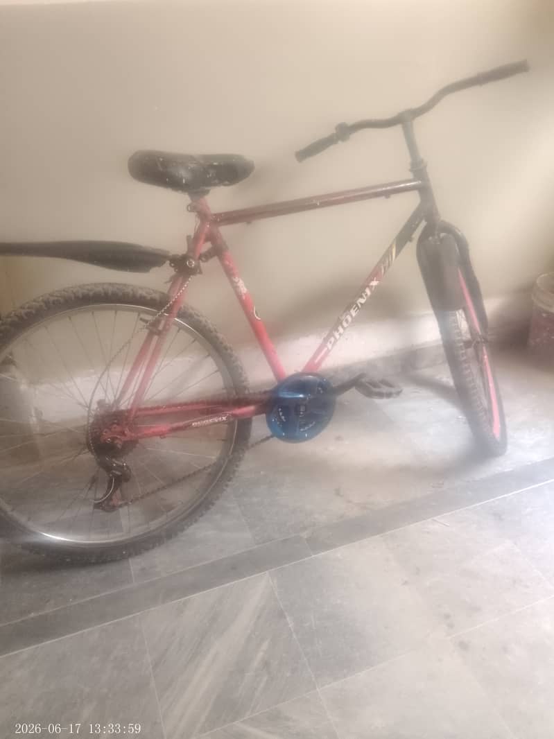 Red cycle 1