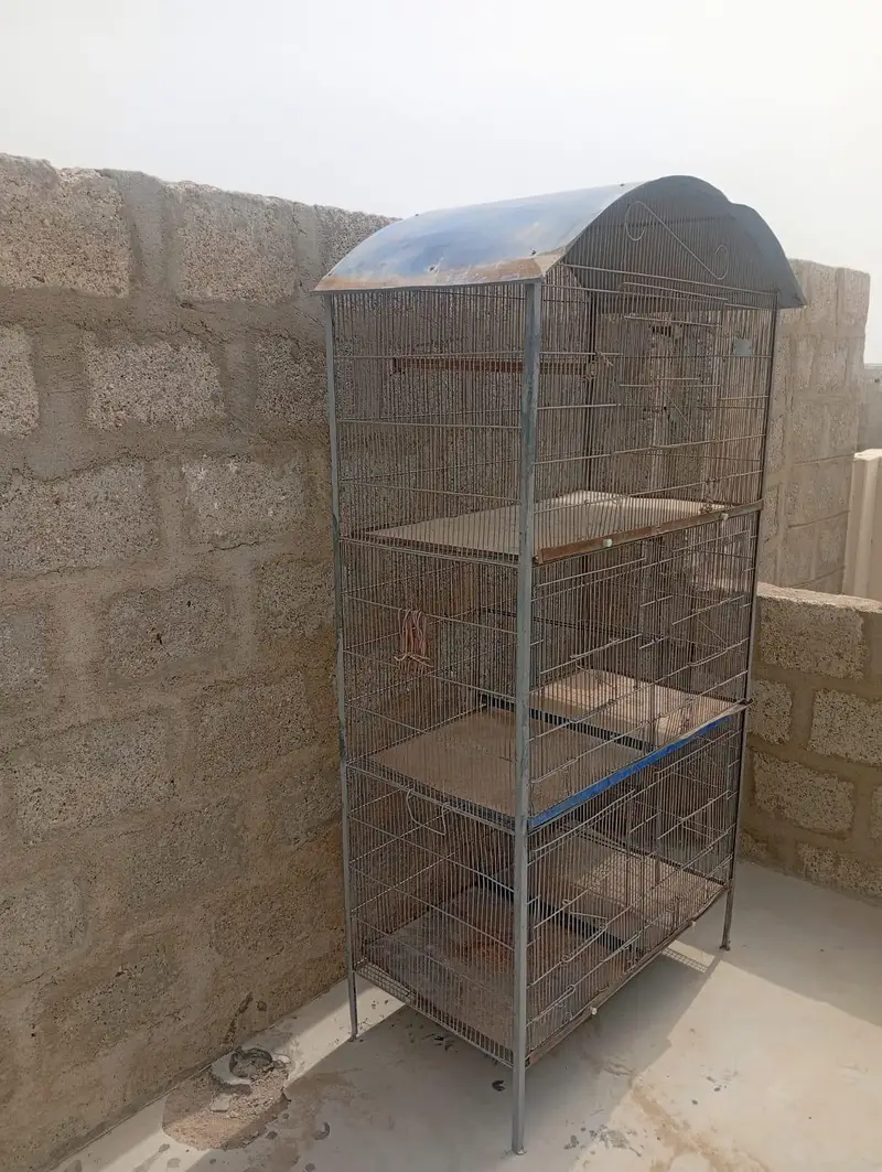 5 portion cage for sell — photo 2