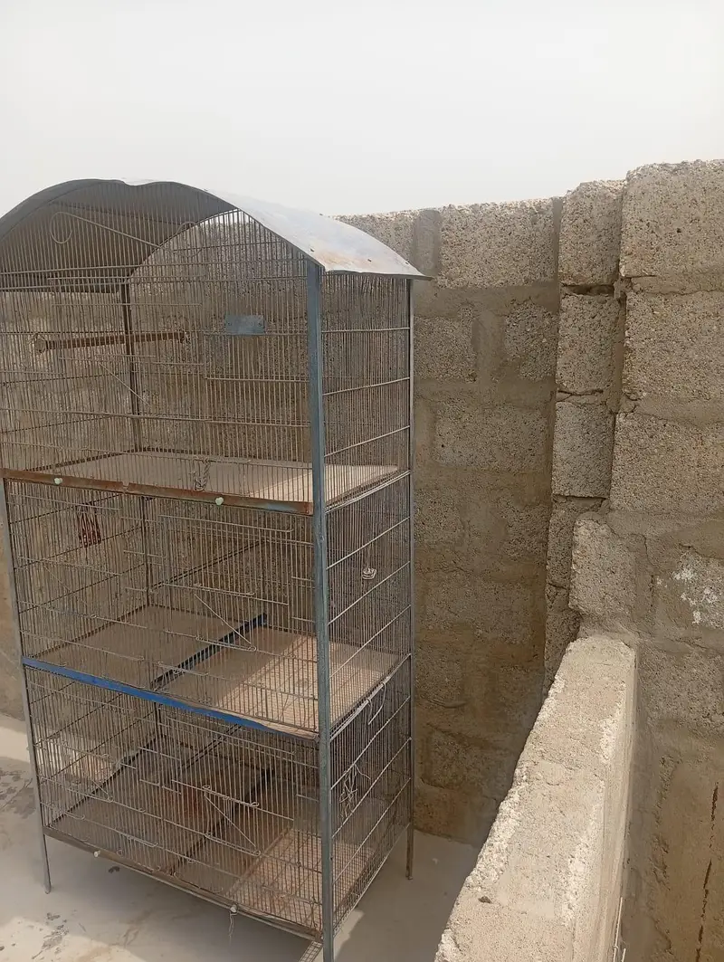 5 portion cage for sell — photo 3