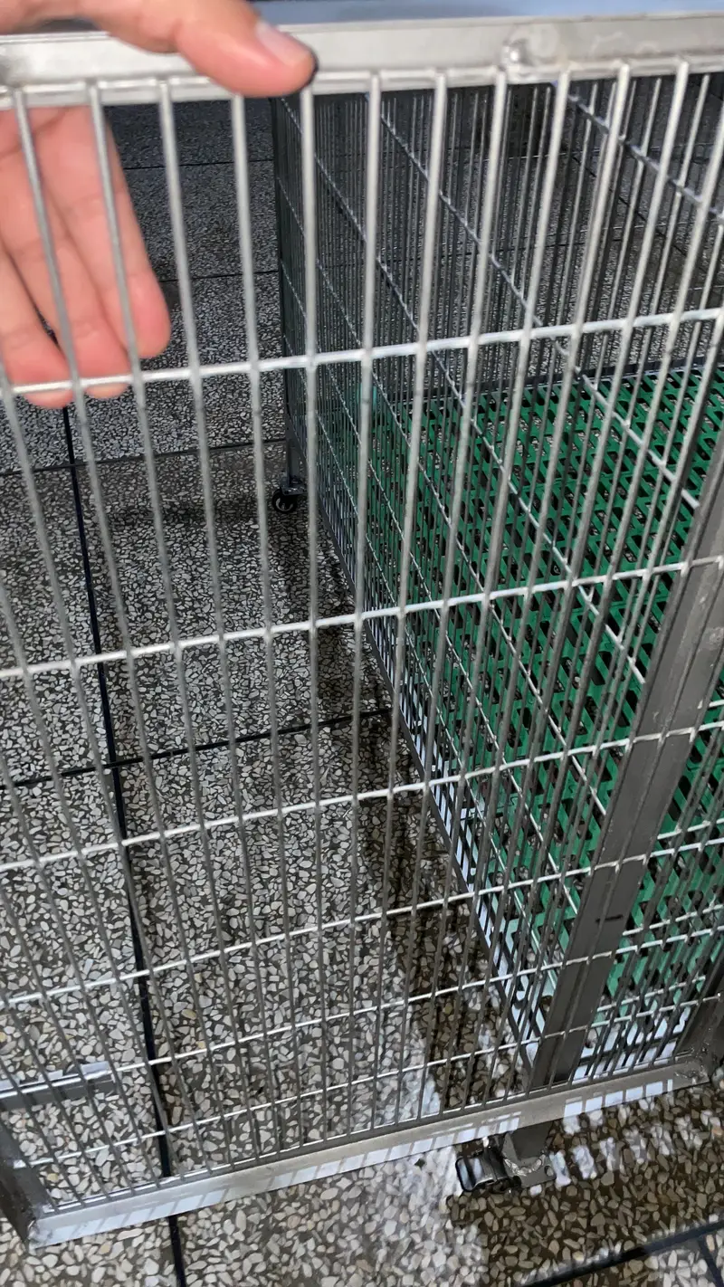 Dog cage