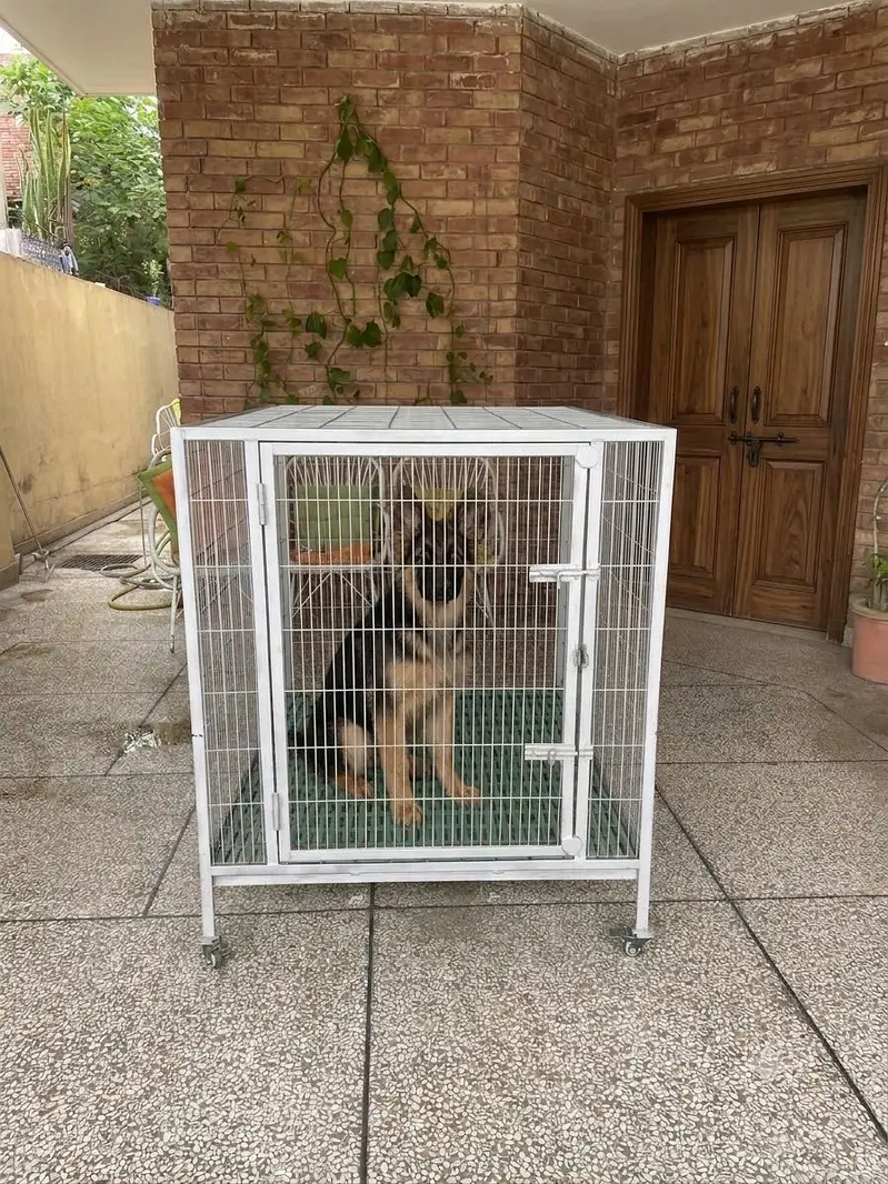 Dog cage — photo 2