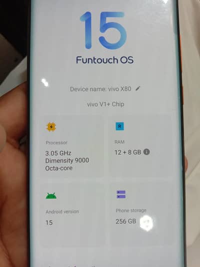 Vivo X80