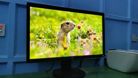24" HP Crystal LED
