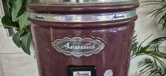Aroma geyser, 2 years old