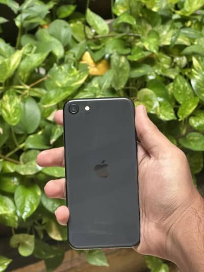 Iphone SE 2020 (256gb)