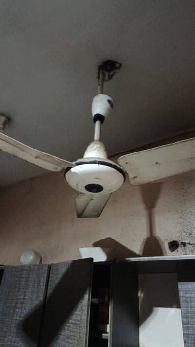 pak fan