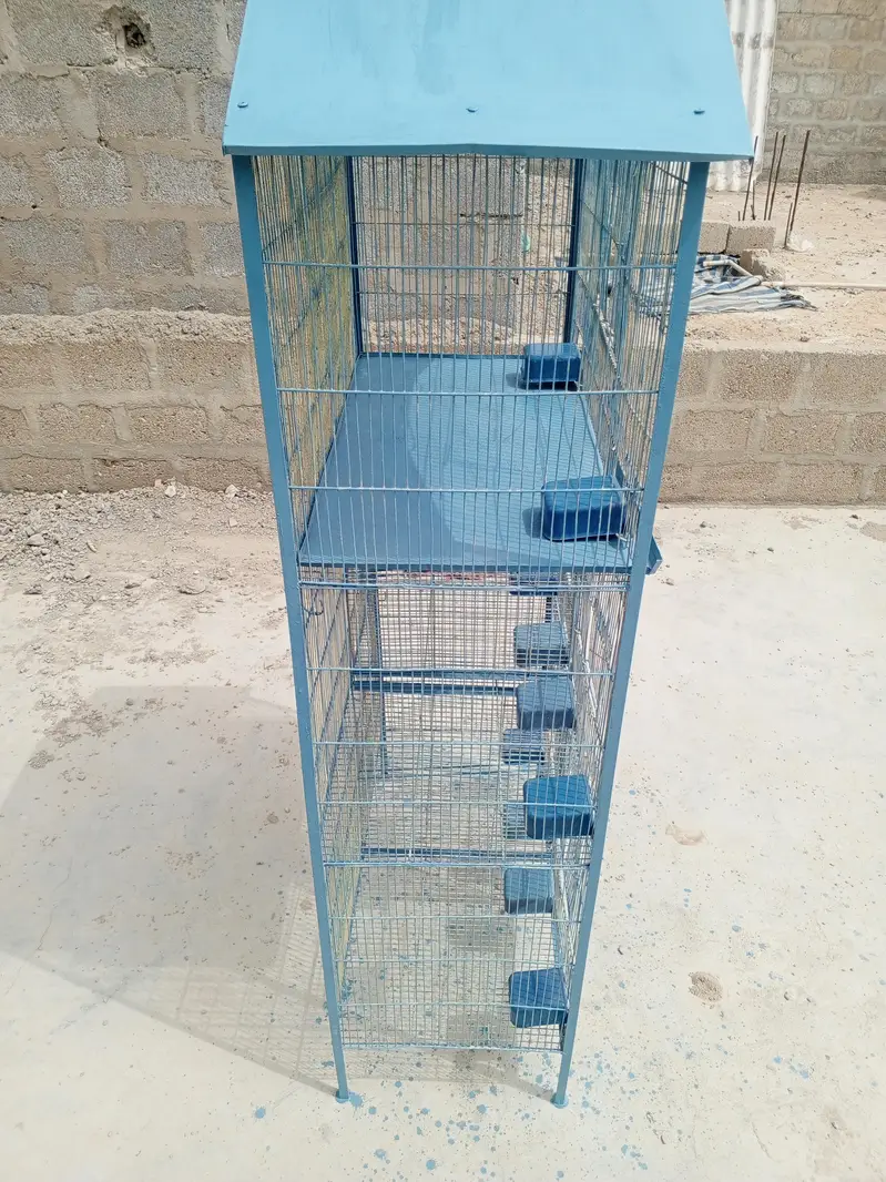 Cage Pinjra RS. 6000 Only — photo 3