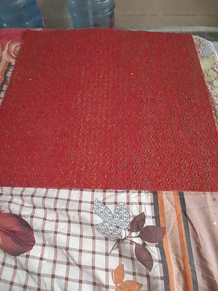 doormat 1