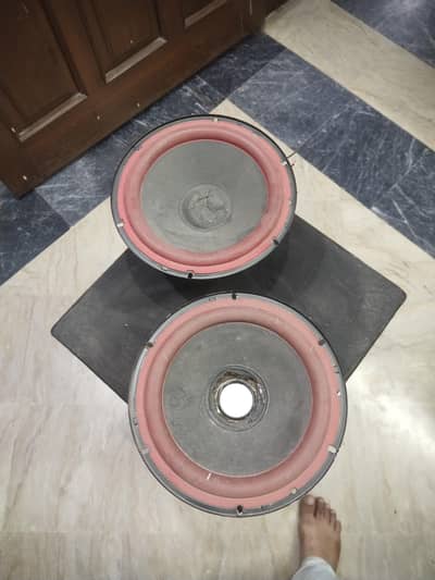 JG woofer 8inch