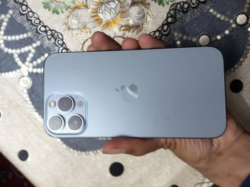 Apple iPhone 13 Pro Max 0