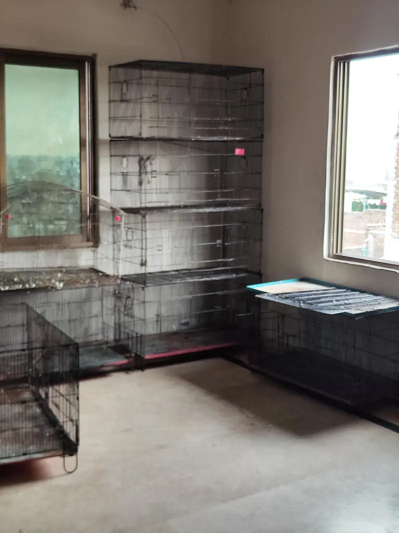 cage for sale — photo 2