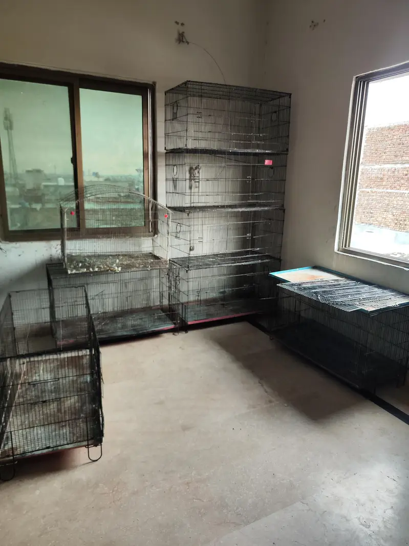 cage for sale — photo 3
