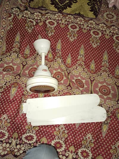 fan hoome