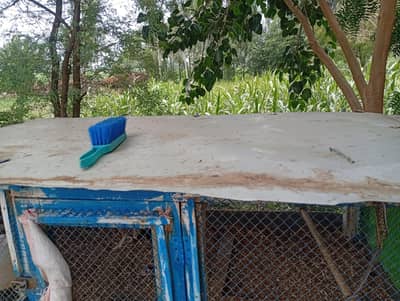 cage for birds and small animals