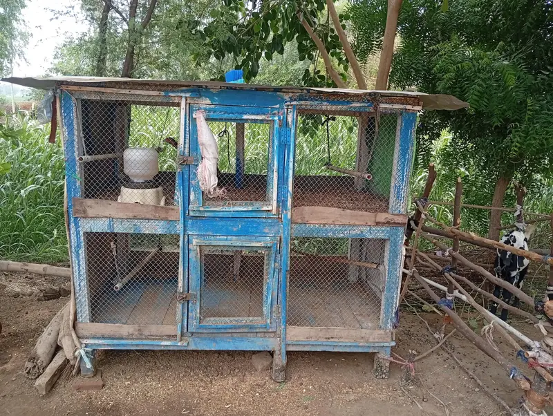 cage for birds and small animals — photo 2