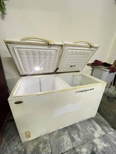 deep freezer (03236993684)