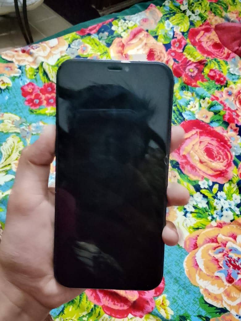 iPhone 12 0
