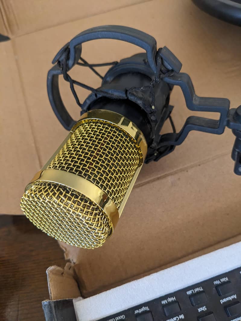 BM 800 Mic  0