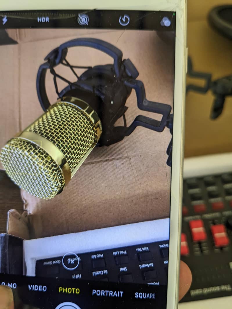 BM 800 Mic  1