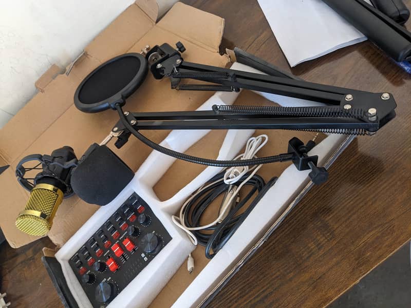 BM 800 Mic  2