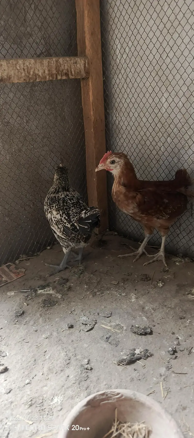 male and female — photo 3