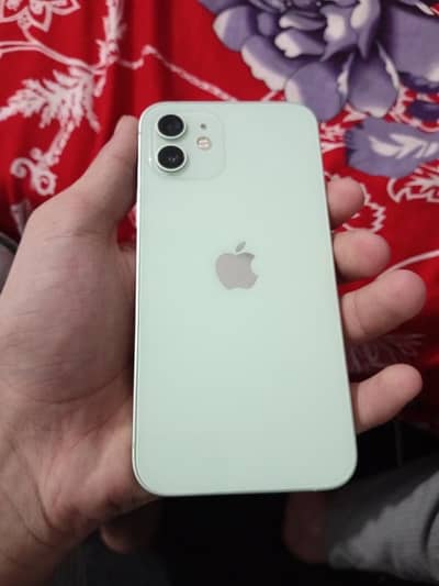 iPhone 12 PTA Approved