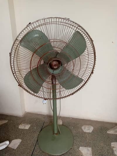 master fan