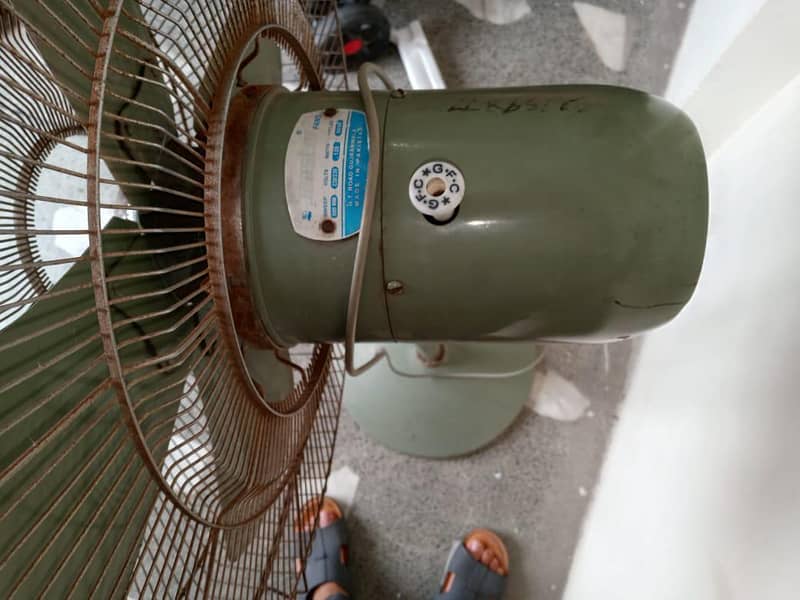master fan 1