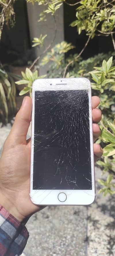 iPhone 7