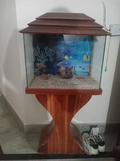 new fish tank available
