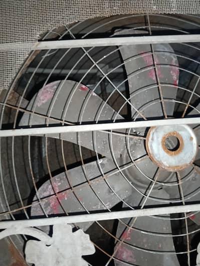 lahori cooler coper motor
