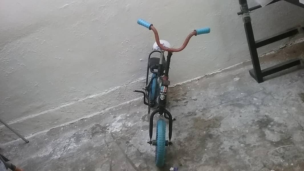 Cycle 0