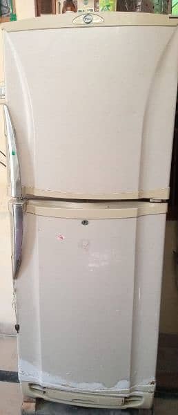 PEL refrigerator Condition 10/7