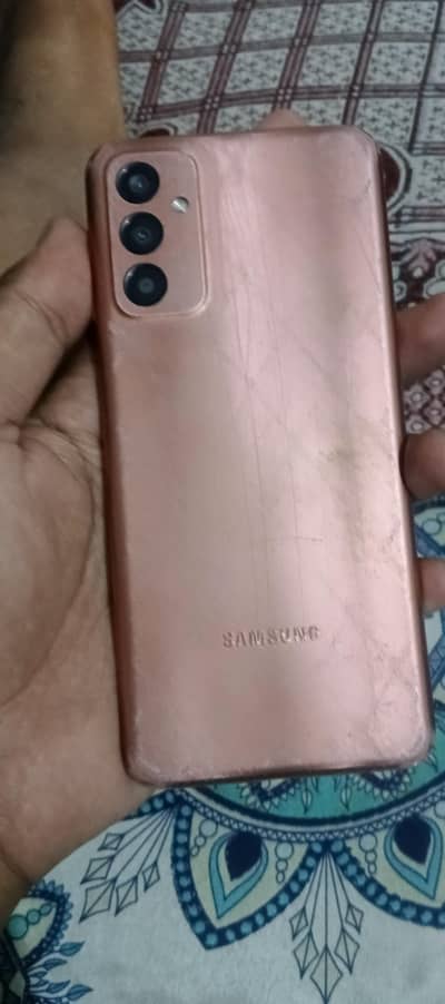 Samsung Mobile F13