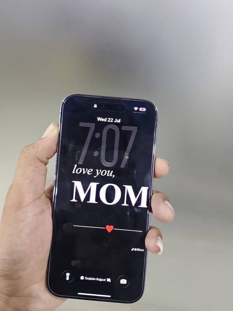 Apple iPhone 14 Pro Max 1