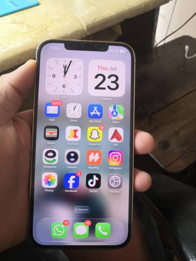 Apple iPhone 12 Pro Max