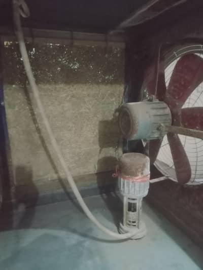 03006329780. . Lahore coleer urgent t for sale
