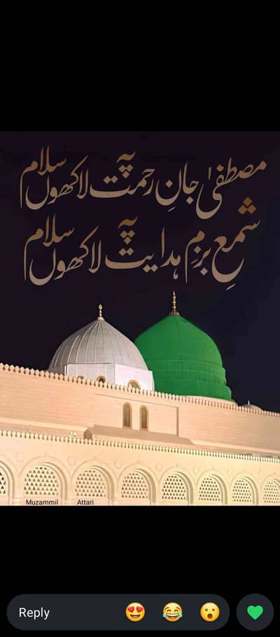 Syed Areeb Ali 786
